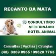 CLÍNICA VETERINÁRIA RECANTO DA MATA